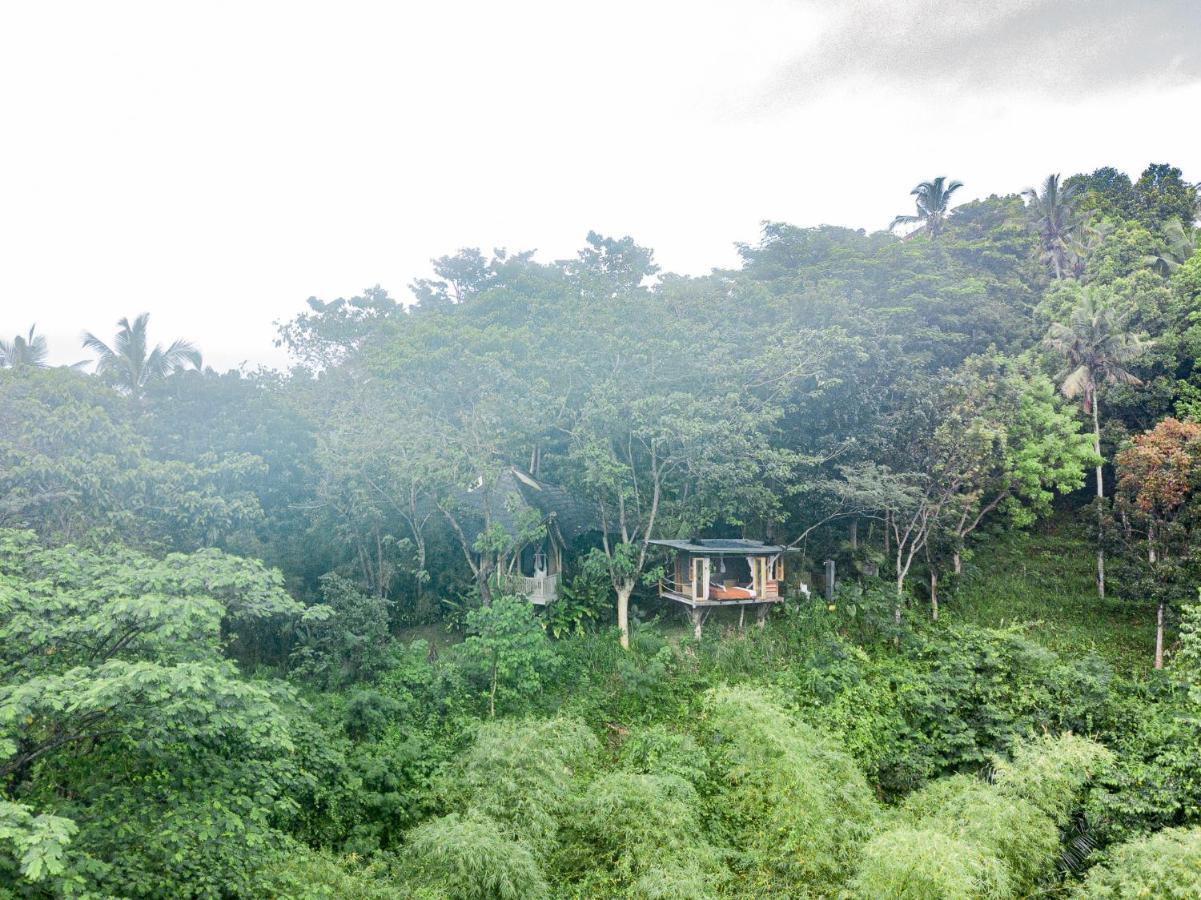 Bird Hills Bamboo House Villa Karangasem  Ngoại thất bức ảnh